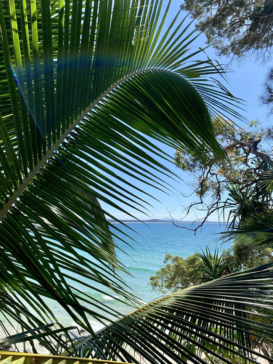 BrookeKayira's tweet image. Living my best life this weekend. Sunshine, beach &amp;amp; a whole lot of nothing. ☀️🌴#soulfood #timeforrest