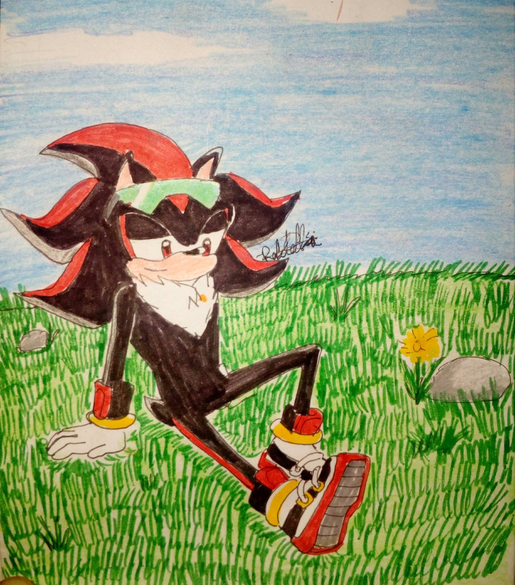 xz_rafatello's tweet image. #shadowweek2019 okey, shadow from sonic riders, don't have  radical changes in his desing, but i like it
Day--3  Alternative  Design
#ShadowTheHedgehog