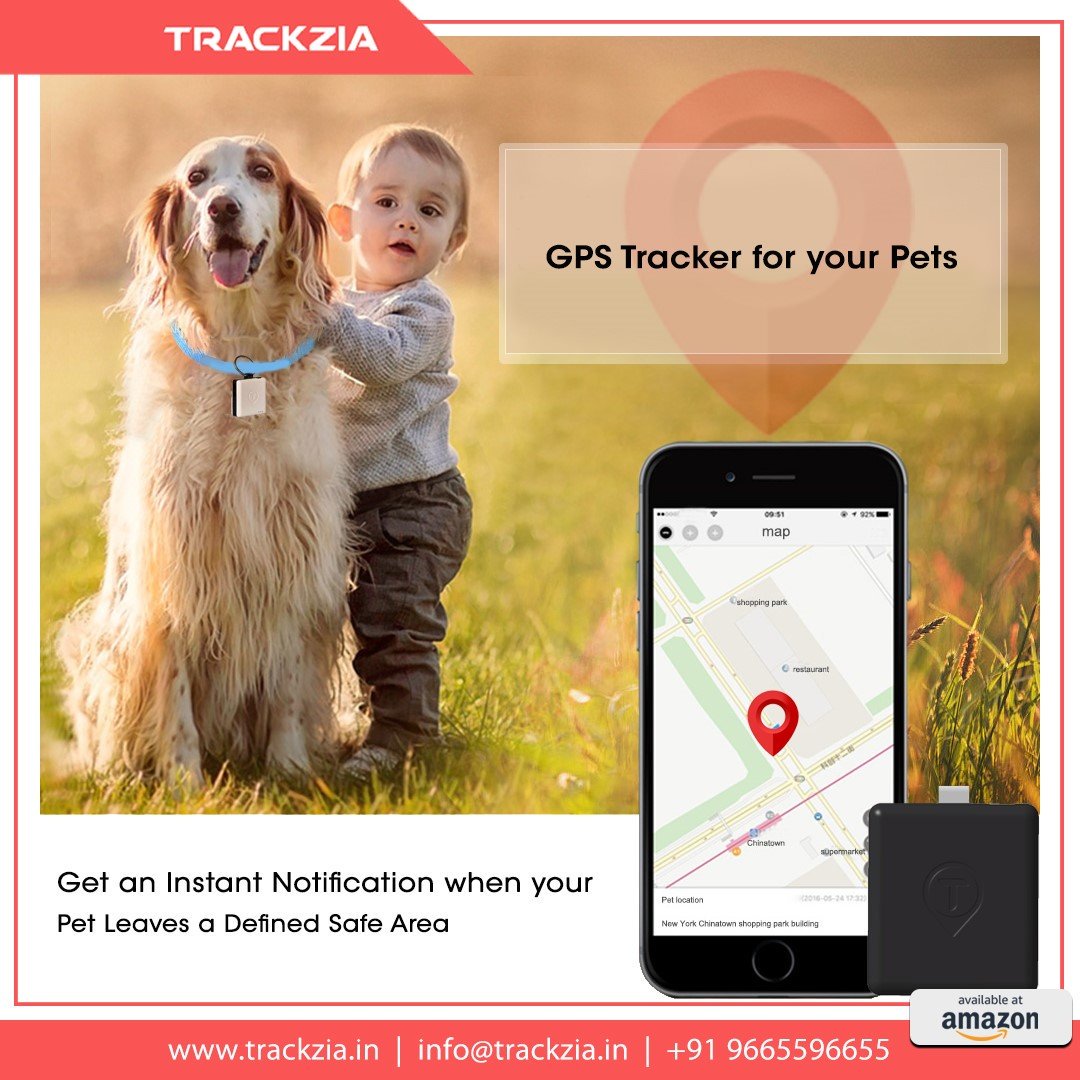 Trackzia's tweet photo. GPS Tracker for your pets
Trackzia keeps a track of where your pet is &amp; also alert you if your pets start to wander off a bit too far.
#trackzia #gps #tracker #protect #detect #pets #trackers #security #safety

https://t.co/4RPHEqwjO3 https://t.co/2AQiGSnHXt