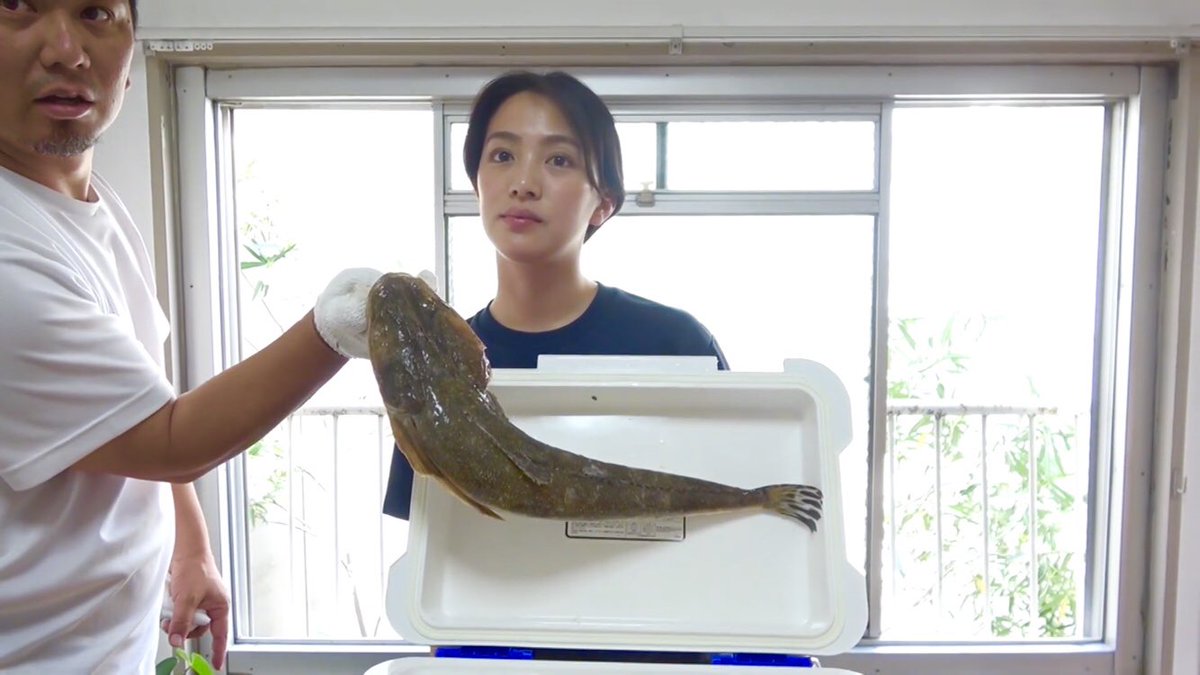 釣りるれろ 刺身に飽きたら マゴチのしゃぶしゃぶ鍋 62 T Co Fvetwlijto 釣りるれろ 釣り タイジグ マゴチ しゃぶしゃぶ 刺身