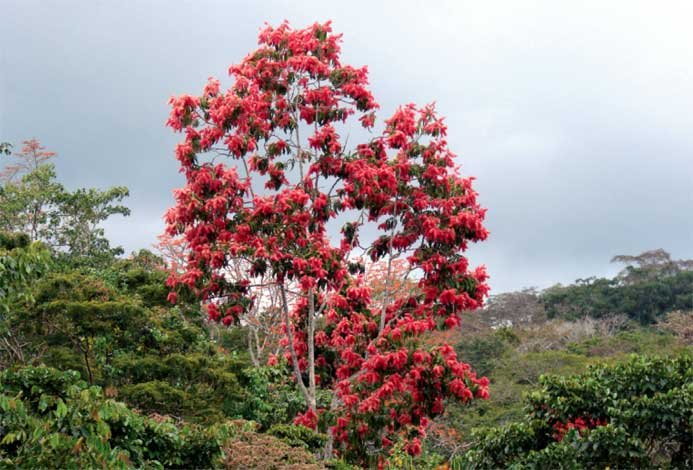 TreesUnique's tweet image. #plant the trees save #nature.this is the right time to plant a #tree
#SaturdayThoughts