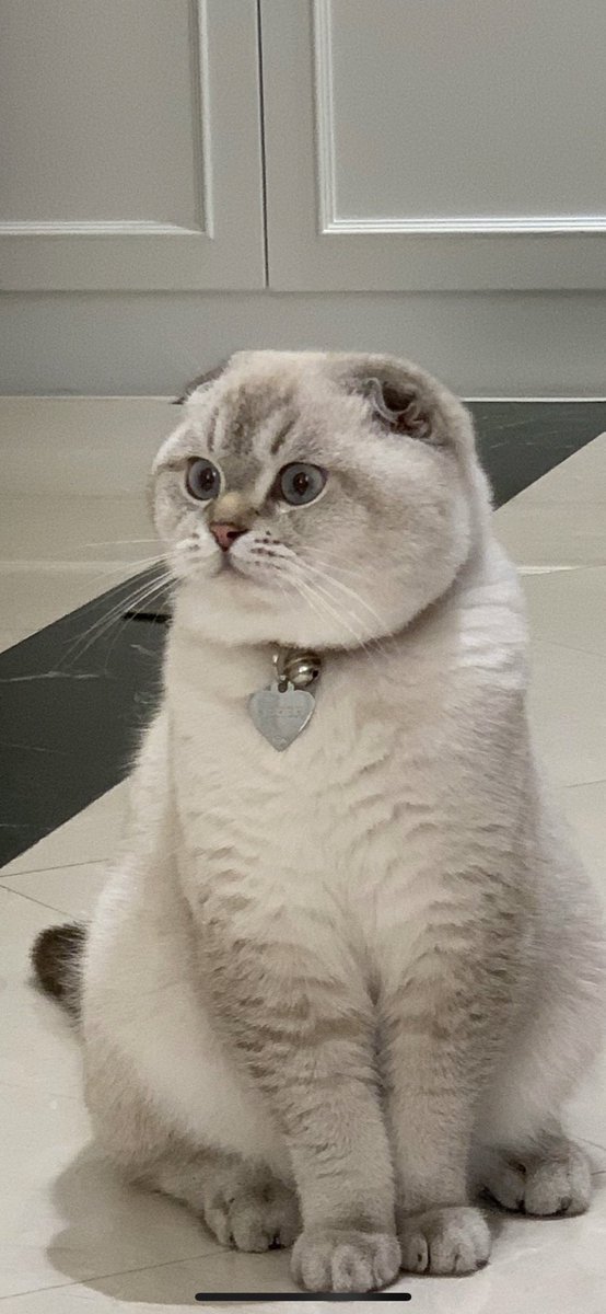 จิ๋วเช่อ tweet media