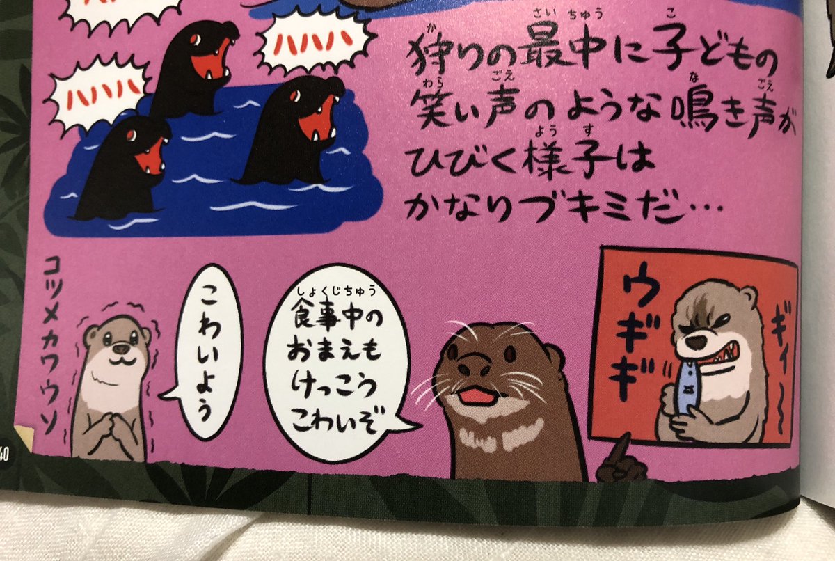 タオル、実はオオカワウソじゃなくてコツメカワウソの顔っていうね… 