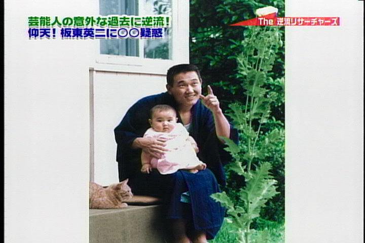 ケシの花 Twitter Search