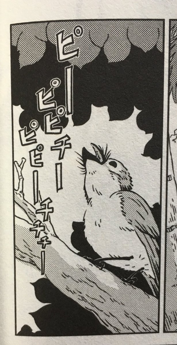 RT 妻、森和美の『エシカルンテ』の中には動物、特に鳥がたくさん描かれます。
『ペリリュー』の中で、鳥の登場するシーンも、主に妻が描いてます。 