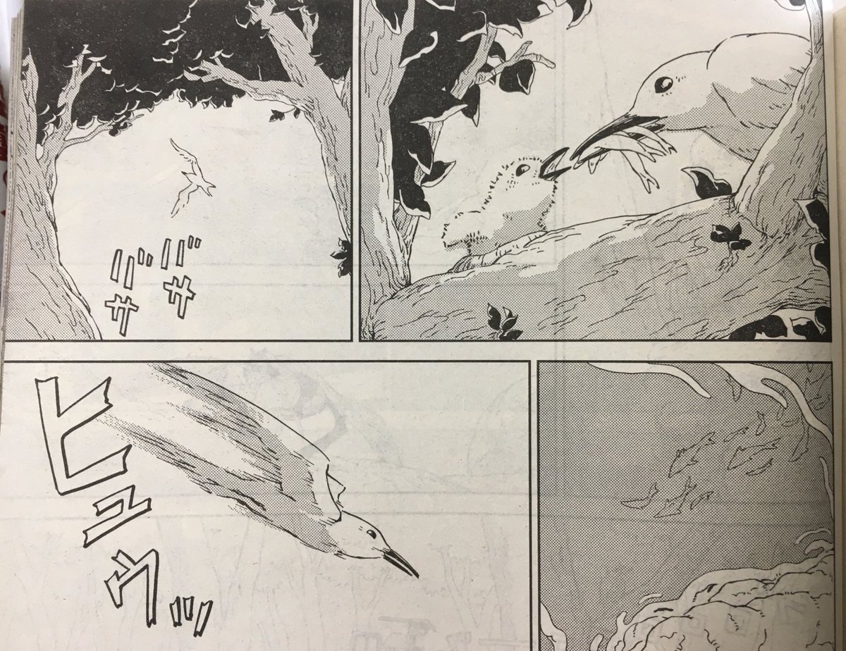 RT 妻、森和美の『エシカルンテ』の中には動物、特に鳥がたくさん描かれます。
『ペリリュー』の中で、鳥の登場するシーンも、主に妻が描いてます。 