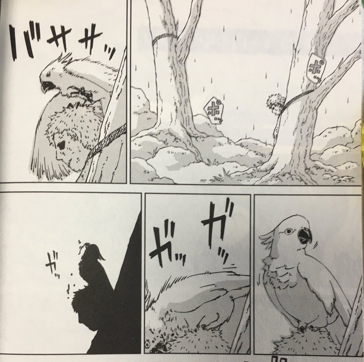 『ペリリュー』でたびたび出てくる、この白色オウム。こいつは妻が描いたり僕が描いたり。
妻が僕のタッチに近づけてくれてるのでほぼ区別つかないと思いますが、前の2枚が妻、後の2枚が僕。
