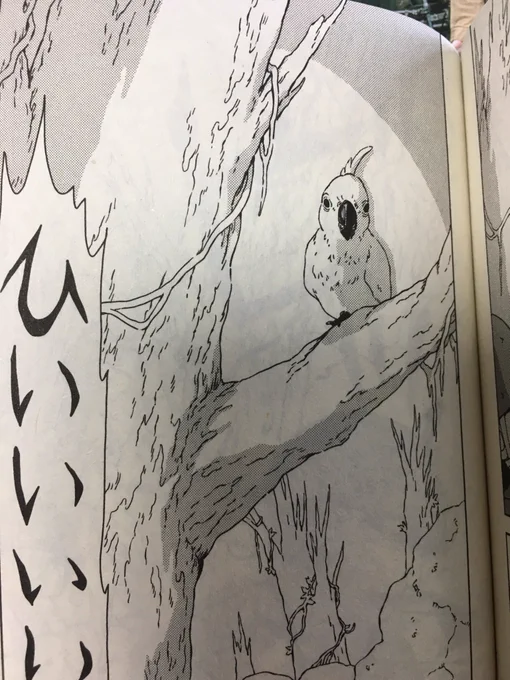 『ペリリュー』でたびたび出てくる、この白色オウム。こいつは妻が描いたり僕が描いたり。
妻が僕のタッチに近づけてくれてるのでほぼ区別つかないと思いますが、前の2枚が妻、後の2枚が僕。 