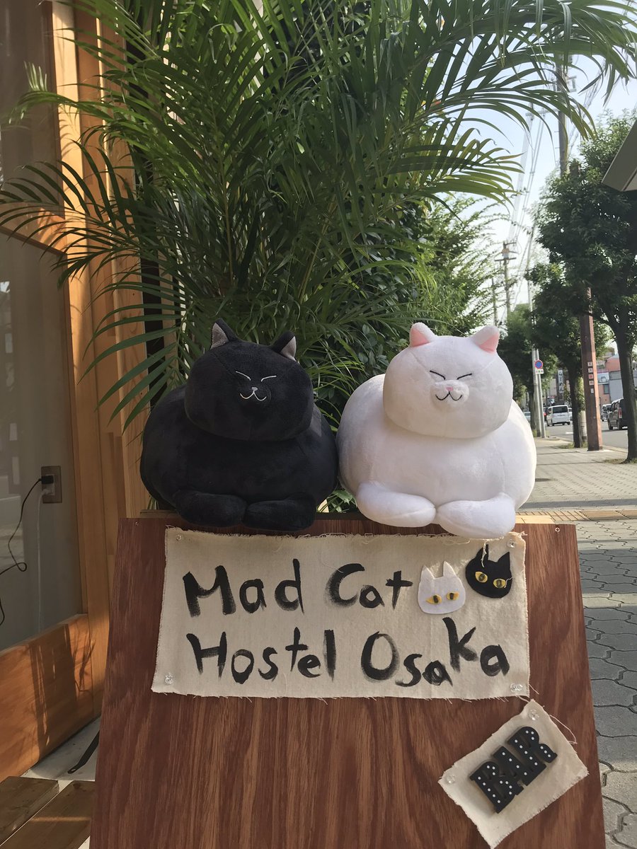 mad_cat_toshi's tweet photo. Today’s Mad Beach Bar @madcathostel is Saturday Football Night ⚽️
19:00 Yokohama Marinos vs. Cerezo Osaka 
21:00 Arsenal vs. Burnley
Come and watch Cerezo's away game at either our Mad Beach Bar or Sakuraholic @bar_sakuraholic at Nagai, which is our partner shop.
#footballbar https://t.co/ifTCivi47c