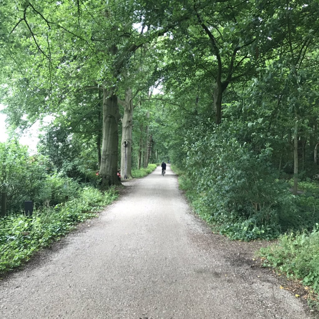 PennyHaw's tweet photo. Reflective canals; het huisje on the edge of het bos; trees, glorious trees; and, in Laren, the tastiest poffertjes ever to embrace my tongue on my Friday #flatrun in the #Netherlands https://t.co/UTMhhgF6II