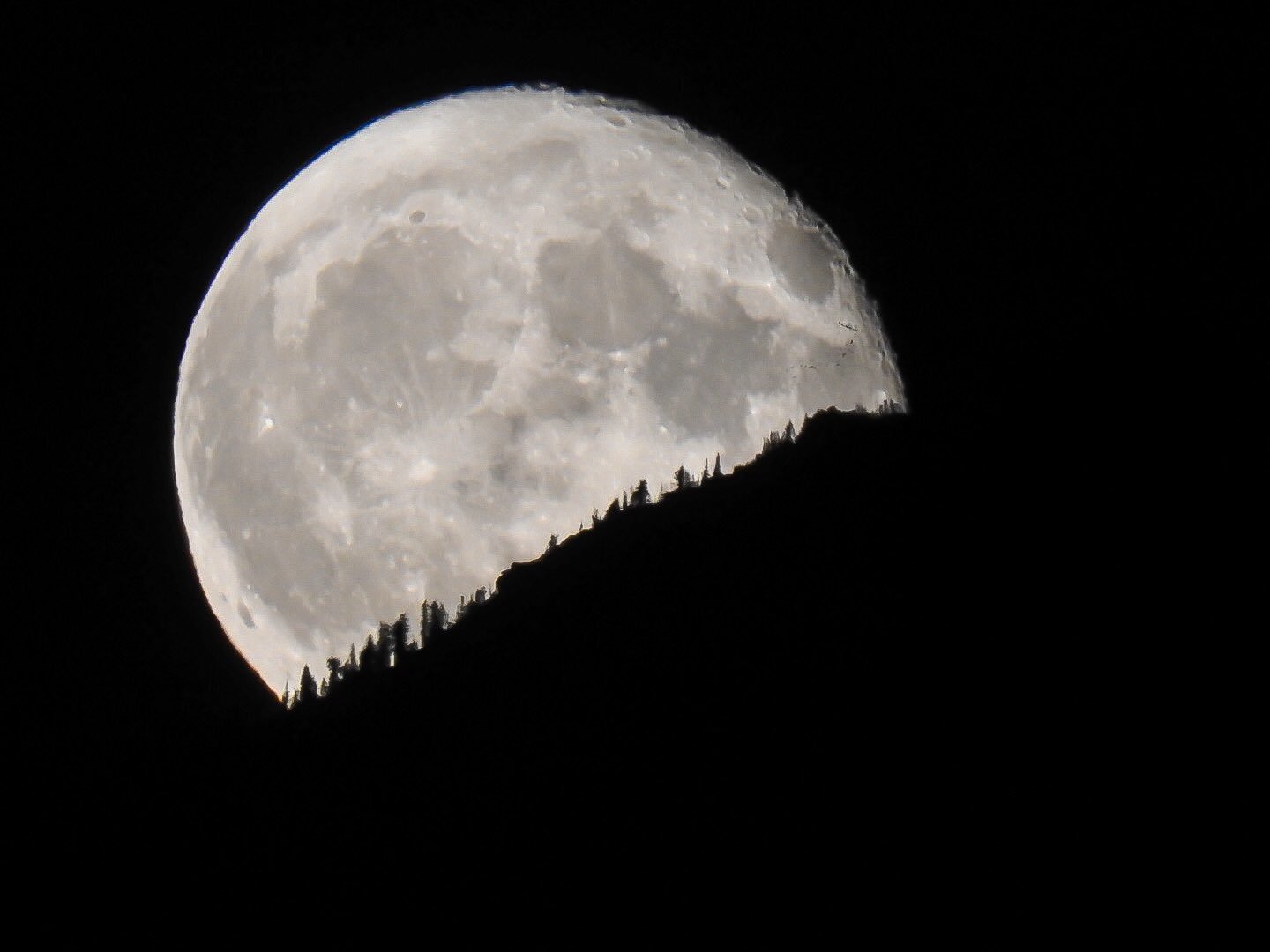 шапка для твиттера луна. олень в полнолуние. черное полнолуние. Moon coming. существует ли голубая луна.