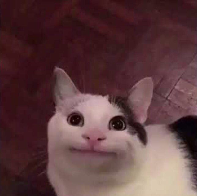 enbyfaust's tweet photo. @amurolovemail yeah when they met him piper made this face and proceeded to have a panic attack in a closet. good times. i hope you had a good night, get some rest! 💞 https://t.co/laHOcieSE9