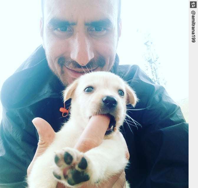 IngloriousDogs's tweet photo. #bitingme #neighbourspet #puppy #puppylove #dogsofinstagram https://t.co/bSuiJxlIfy