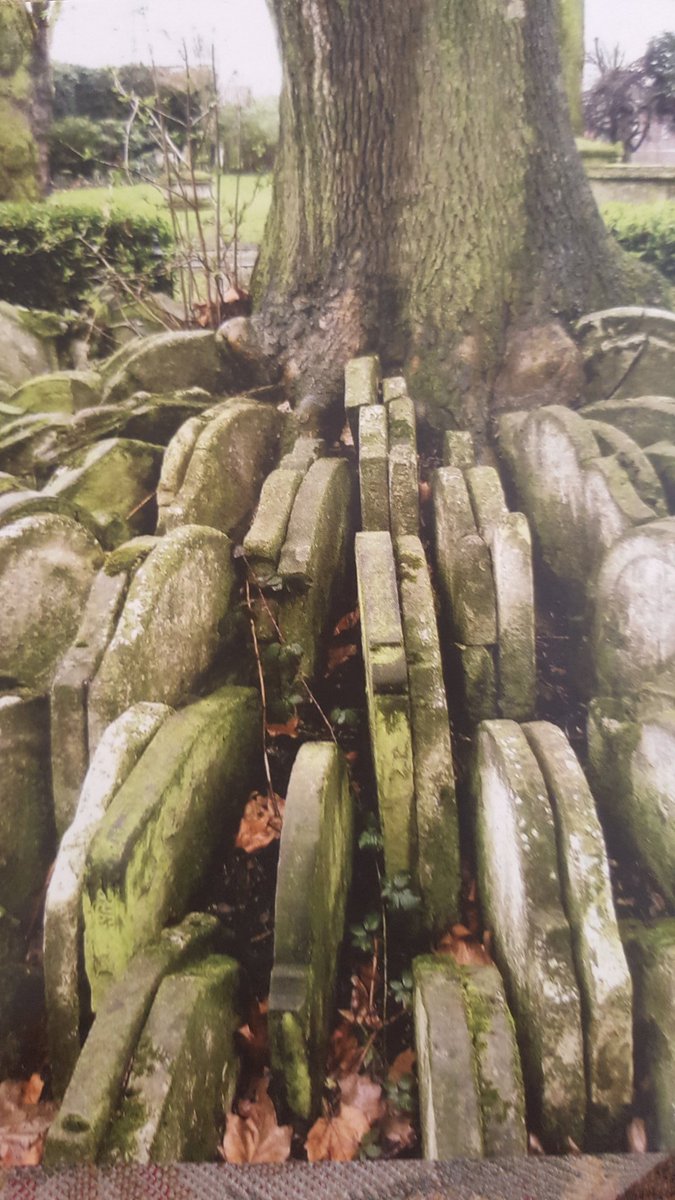 DrSamGeorge1's tweet image. Searching for #MaryWollstonecraft's grave at St Pancras Old Curch I discovered  that the uncanny stacks of graves include #Polidori author of The Vampyre 1816. Hard to out goth that and only a stone's throw from @britishlibrary!