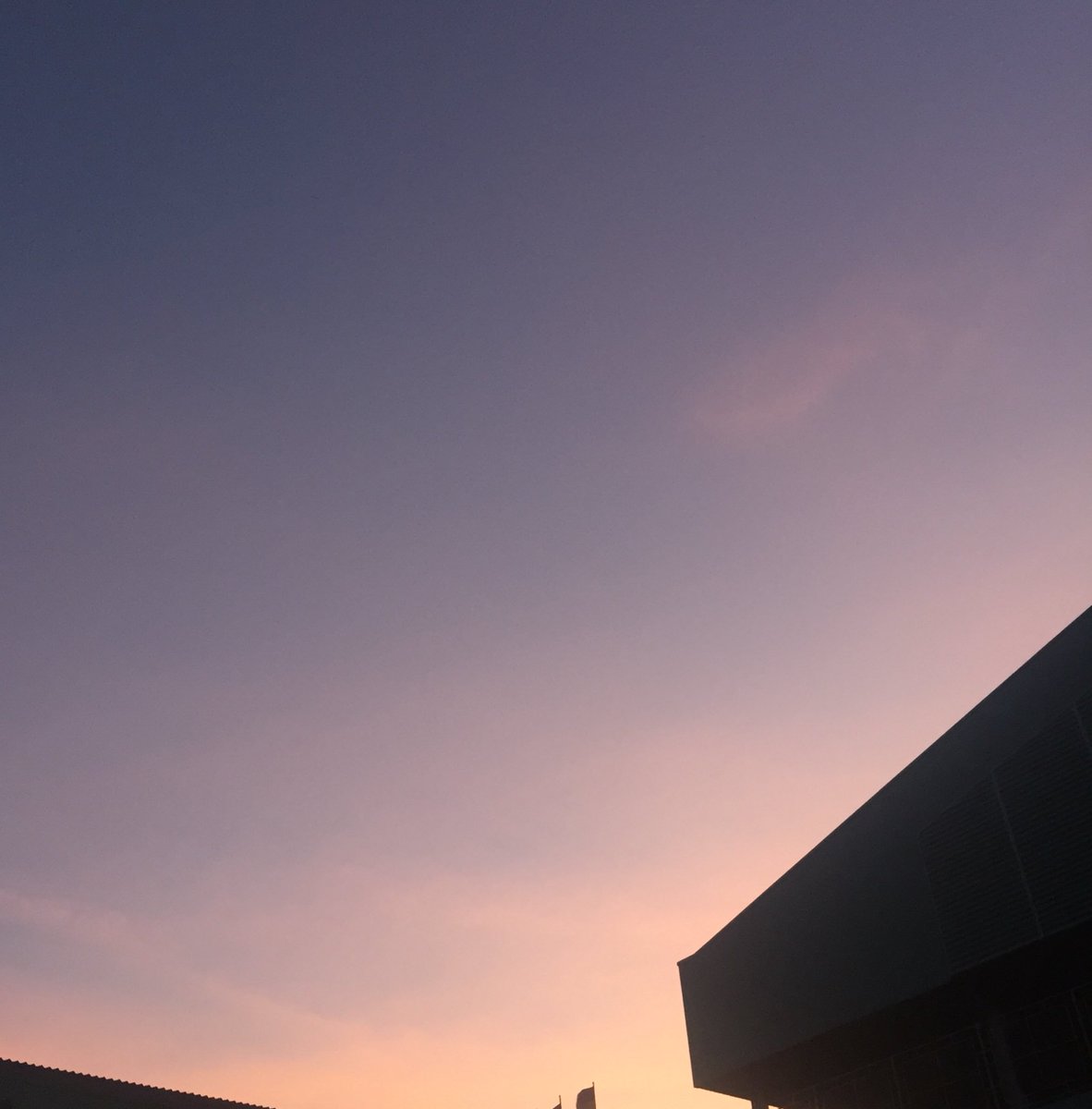 bright__Sky12 tweet media