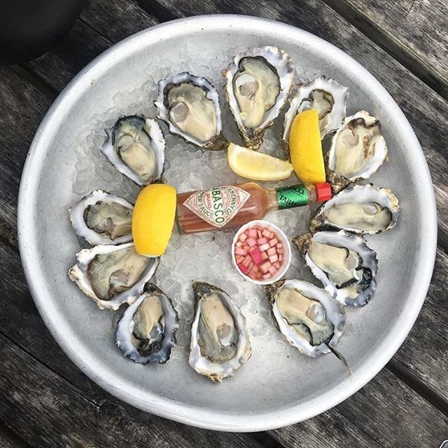 Whitstable Rocks (@whitstablerocks) on Twitter photo #Repost <a href="/dawncloud/">Emma C. 💫✨</a>⠀
---⠀
Day by Whitstable seaside 🌊 🌤 //21.07.2019⠀
.⠀
.⠀
.⠀
.⠀
.⠀
#sunday #daytrip #seaside #britishseaside #whitstable #whitstablebeach #uk #sunny #daycation #oysters #seagulls #beach #sea ift.tt/2TEkwHX #Repost <a href="/dawncloud/">Emma C. 💫✨</a>⠀
---⠀
Day by Whitstable seaside 🌊 🌤 //21.07.2019⠀
.⠀
.⠀
.⠀
.⠀
.⠀
#sunday #daytrip #seaside #britishseaside #whitstable #whitstablebeach #uk #sunny #daycation #oysters #seagulls #beach #sea ift.tt/2TEkwHX