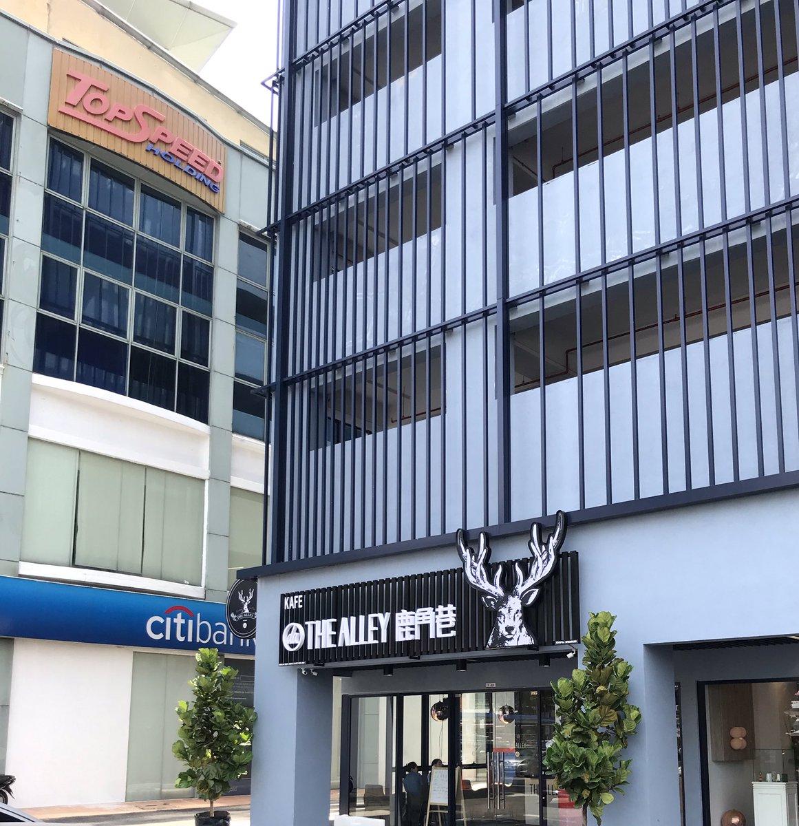 Taipan gonna be hella cray cray with this &amp; black whale opening up.