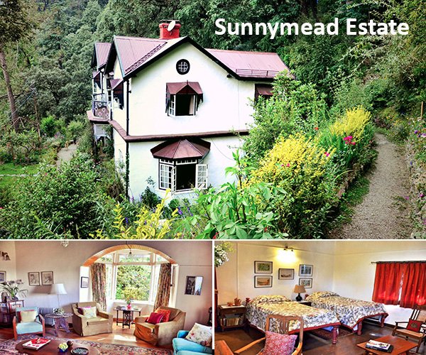 ConnectSOI's tweet photo. #SunnyMeadowEstate, one of the last surviving #bungalow residences still standing tall in #Shimla. Catch the whispers of the bygone era and wade into the time when its pace was much gentle. The #mansion is situated at the edge of an #Oak and #Rhododendron Reserve #Forest. https://t.co/V2QKW55F0y