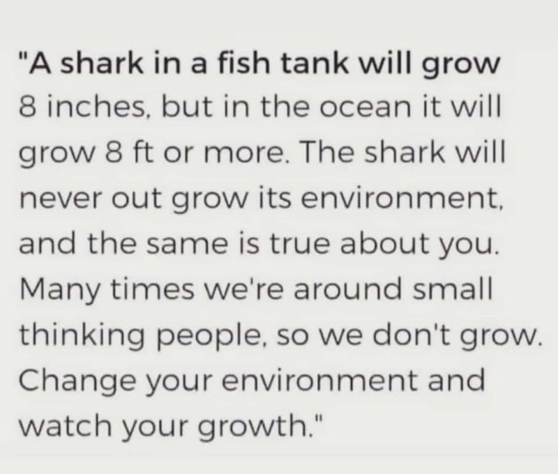 Challenge yourself 🙌