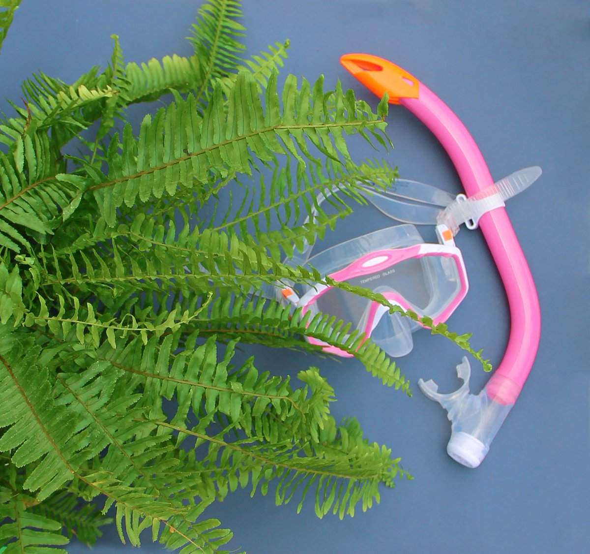 Este verano, ¡Sumérgete en plantas!

Y disfruta de los beneficios de cuidar plantas: tienen un efecto anti-estrés, ayudan a mejorar la concentración, despiertan la curiosidad y renuevan el aire que respiramos. 
Vale la pena, ¿no?

#Veraneaentreflores #plantasdeverano