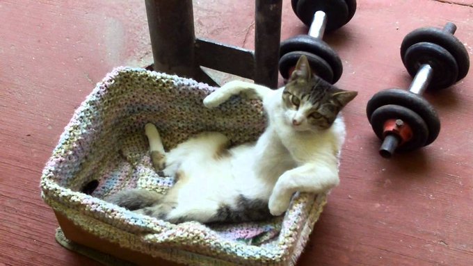 iljagort's tweet image. Weekend! Sporten, mensen!