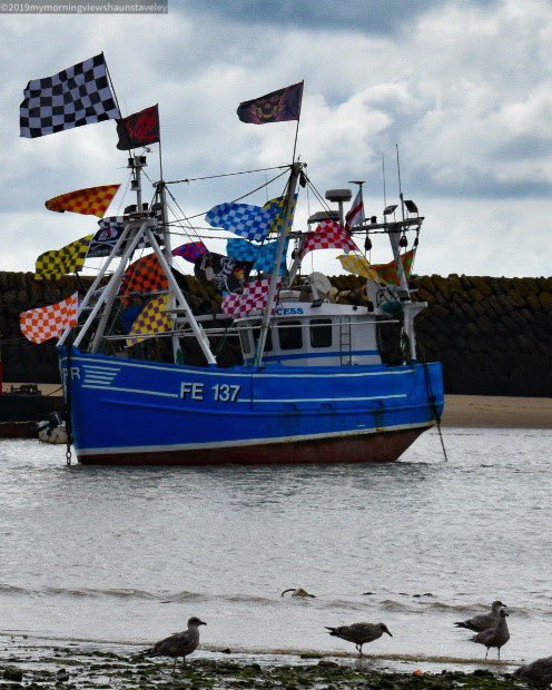 My Morning View #Folkestone <a href="/FTrawler/">F'stone Trawler Race</a> <a href="/cathmison/">Cath Mison</a> <a href="/fstonehythedc/">Folkestone & Hythe District Council</a> <a href="/HIXfolkestone/">Holiday Inn Express Folkestone Channel Tunnel</a> <a href="/rocksound/">Rock Sound</a> <a href="/_ChummysSeafood/">Chummys Harbour Arm</a> <a href="/mariner_the/">The Mariner</a> <a href="/VisitFolkestone/">Visit Folkestone</a> <a href="/FstoneHbourArm/">Folkestone Harbour Arm</a> <a href="/ButtysFolkeston/">Buttys of Folkestone</a> <a href="/TheChambersBar/">The Chambers</a> <a href="/GFolkestone/">GreenFolkestone</a> @The_Grand_RR <a href="/leascliffhall/">Leas Cliff Hall</a> <a href="/lovefstone/">Sights Of Folkestone</a> <a href="/SignalBoxFolkes/">Bobbies Bakehouse</a> <a href="/dockereastkent/">Docker</a>