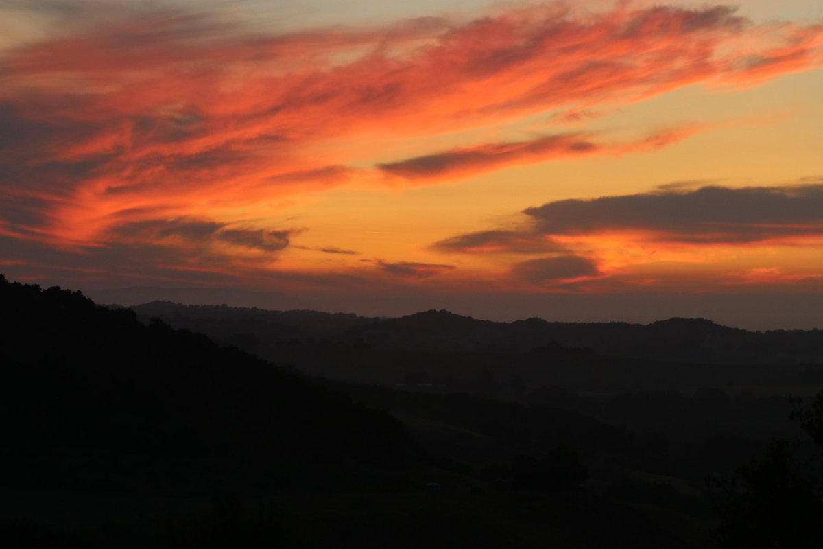 tedfletcher's tweet photo. Totally un-pc post ahead, or 1980's commercial ---- When I shoot things I use a Canon . . .
#sunrise over @TravelPaso @VisitCA #nature #landscape #soslocal #slocounty #wildplanet #realcalifornia #sky #centralcalifornia #centralcoast #pasorobles #winecountry #unfiltered #clouds https://t.co/Zo76698nl5