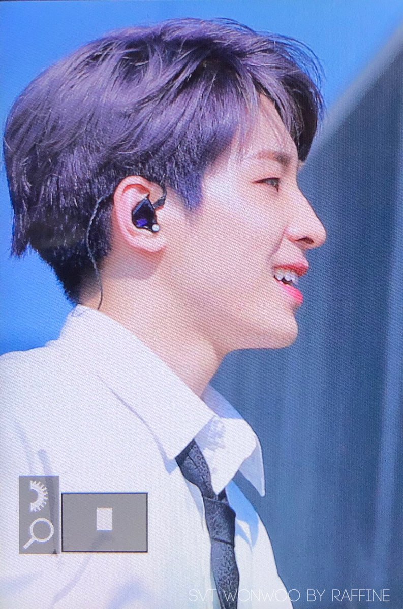 190817 summer sonic #원우 #WONWOO #ウォヌ #17멋쟁이 #SEVENTEEN