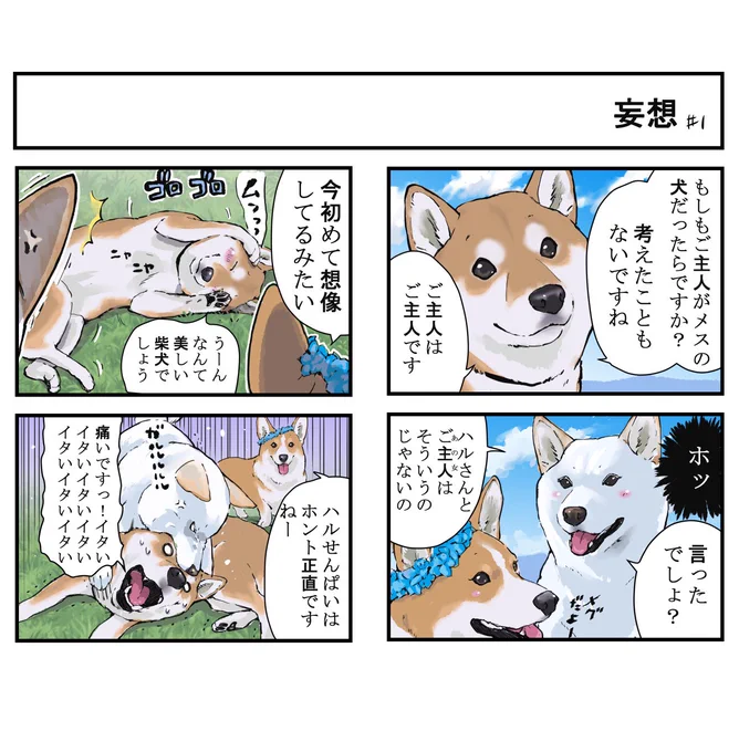 世界の終わりに柴犬と
犬と飼い主の妄想 