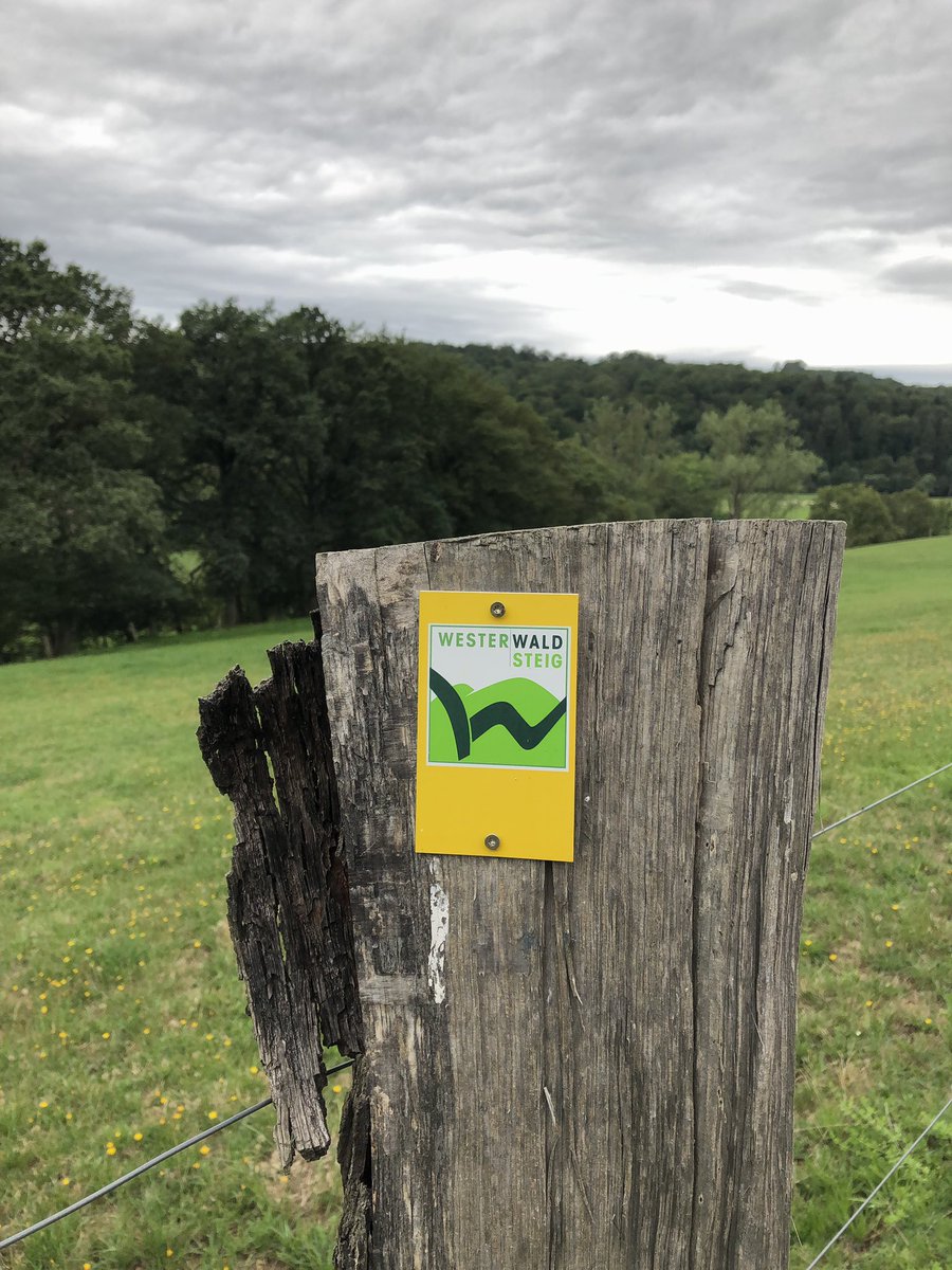 Sabine_Baetzing's tweet photo. Schöne #Heimat! #Wanderland #RLP #Westerwaldsteig https://t.co/sYgFsII9vk