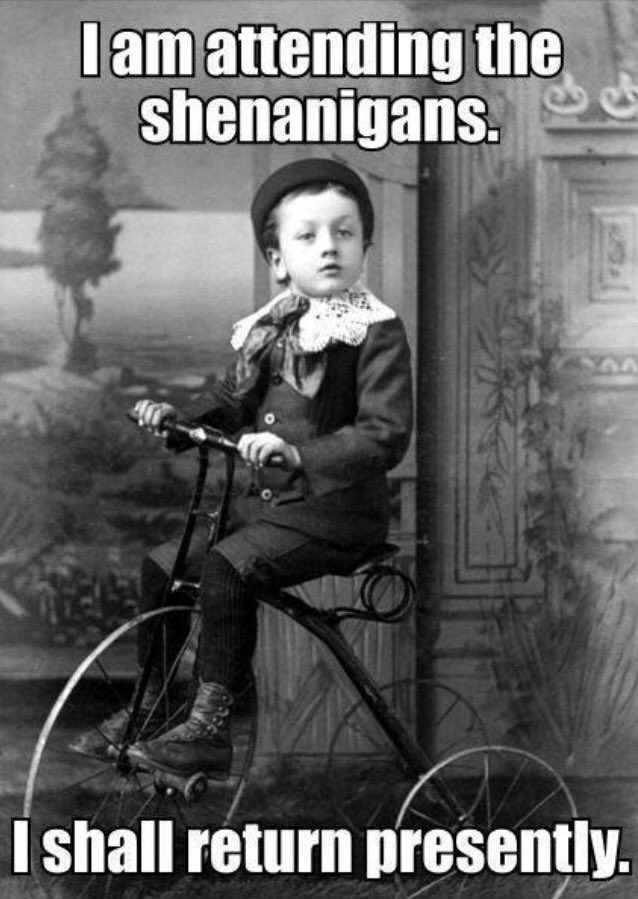 Let us know if you’re coming to our Herbal Medicine Workshop on Saturday 31st August!