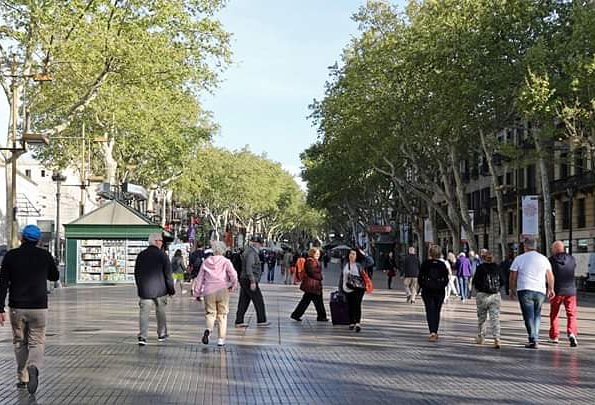 Avui, dos anys després dels greus atemptats de Barcelona i Cambrils del 17A, l'Ajuntament de Tivenys recordem a les víctimes i enviem una forta abraçada als seus familiars.

Agraïm també la gran tasca de tots servidors públics que ens van cuidar i protegir aquell dia.