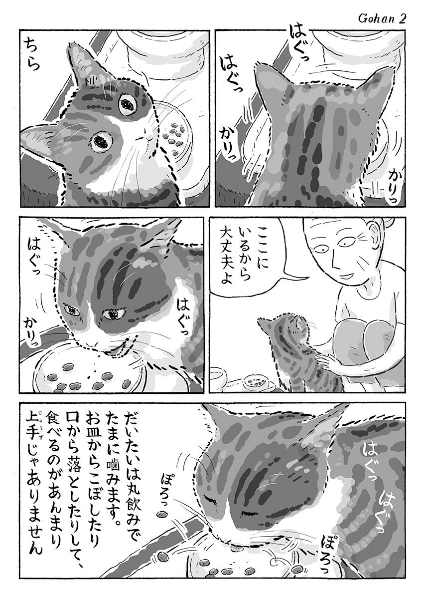 2ページ猫漫画「菊ちゃんのごはん」 