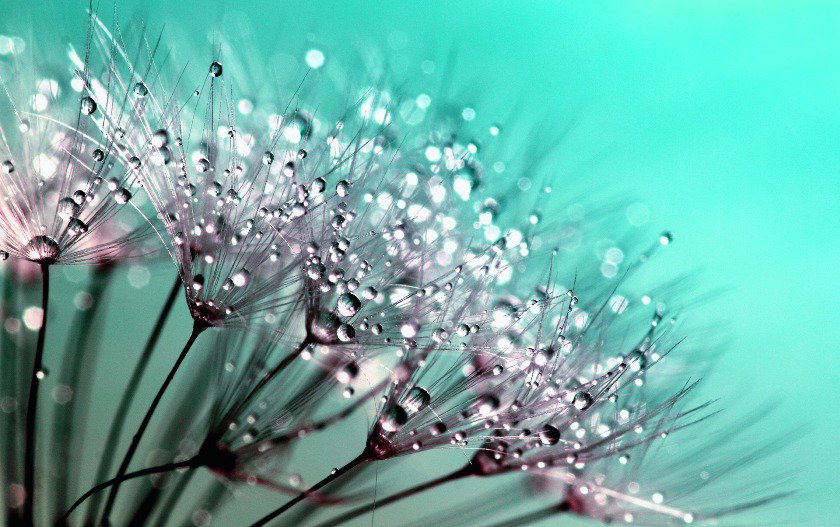 Confronti_CNT's tweet photo. #Confronti di luglio/agosto

«Ogni volta in cui sopprimiamo in maniera selettiva le emozioni, evitando paura, solitudine, incertezza, rabbia, senso di isolamento, di fallimento e vergogna stiamo sopprimendo noi stessi».

Leggi la rubrica di @SamuelePigoni:
https://t.co/BiXtK03m0c https://t.co/jXw3eyct8o