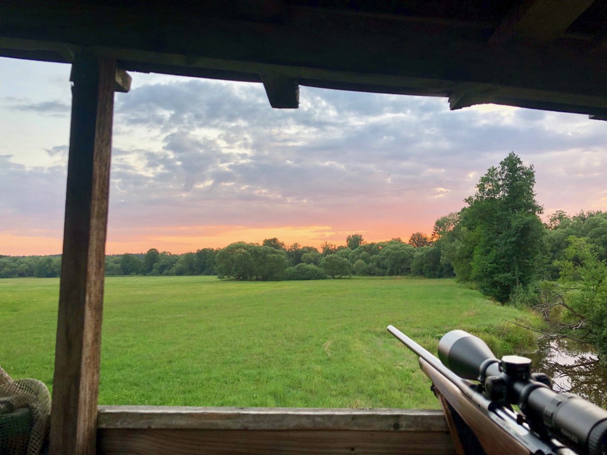 DrTURNS's tweet photo. #rehbrunft #bockjagd #deer #sunset #whitetail #oberpfalz #draussen #natur #outdoor #daheim #viech #tier #imwoid https://t.co/1c930HrNSH