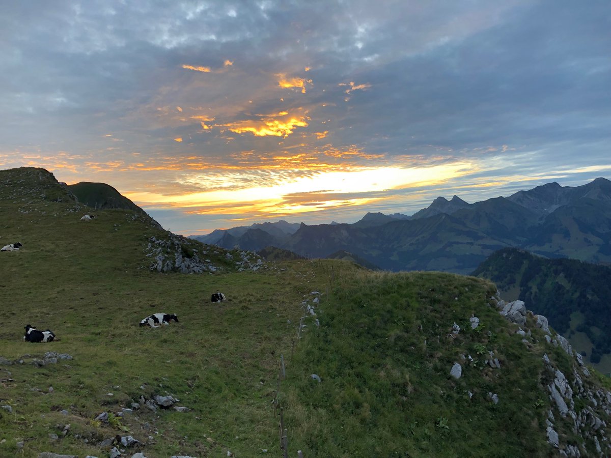alpe2000ch's tweet photo. Merci 17.08.2019 Nouvelle édition du « lever du soleil gourmand » de l’OT des Paccots. Une belle réussite malgré quelques nuages. https://t.co/1YR6RDtxAS