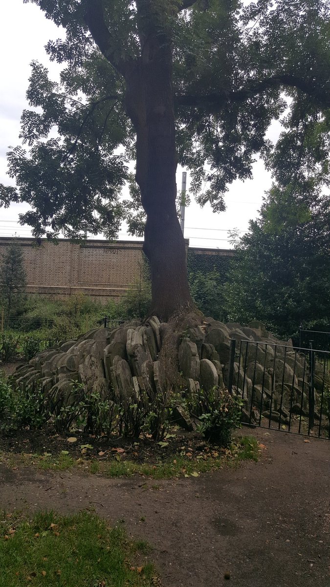 DrSamGeorge1's tweet image. Searching for #MaryWollstonecraft's grave at St Pancras Old Curch I discovered  that the uncanny stacks of graves include #Polidori author of The Vampyre 1816. Hard to out goth that and only a stone's throw from @britishlibrary!
