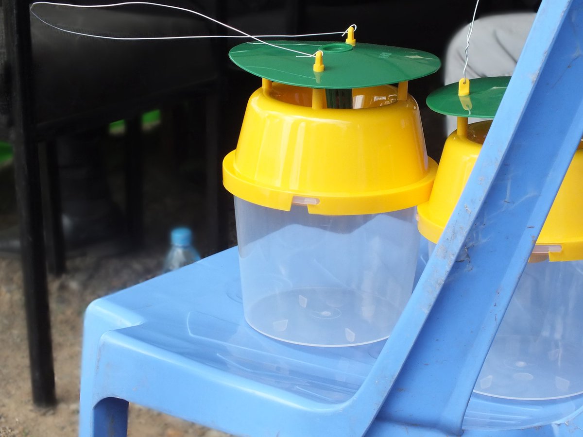 NakuruAgriCall's tweet photo. @NakuruCountyGov through collaborative incentives with stakeholders like @FAOKenya, @kalromkulima and others, has implemented strategies to curb the pest and have been actively involved in training farmers on new technologies, scouting, providing free pesticides and... https://t.co/ipgC4qJaOR