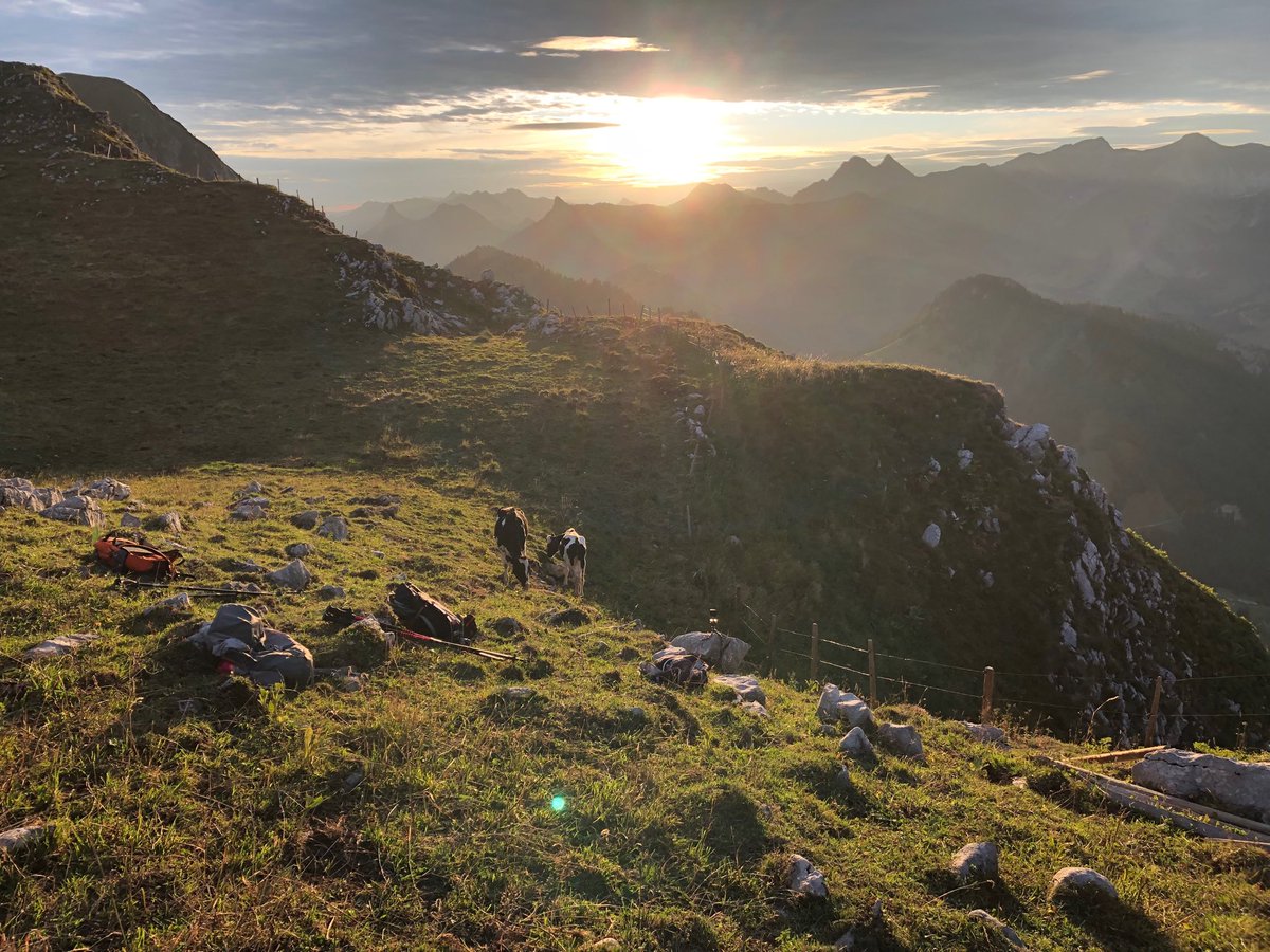 alpe2000ch's tweet photo. 27.08.2019 Bel effet en contre-jour. Ce matin, sur la Crête du Moléson, au-dessus de Tremetta vers 0645. « Lever du soleil gourmand » de l’OT des Paccots. https://t.co/jJBAd2CyuA