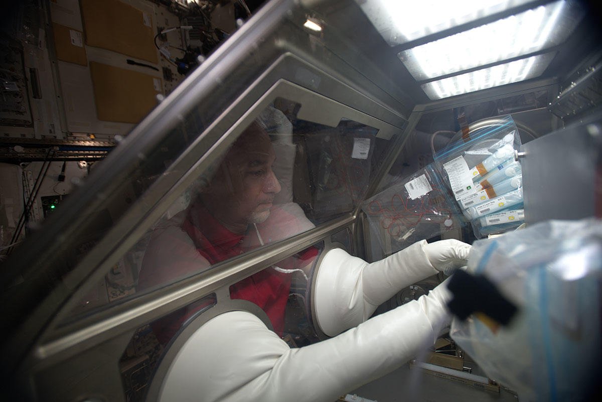 Working inside LSG for the Micro15 experiment, I prepare some samples of cells to be incubated in microgravity: an experiment that’s only possible on board the International <a href="/Space_Station/">International Space Station</a>. #MissionBeyond <a href="/ISS_Research/">ISS_Research</a>