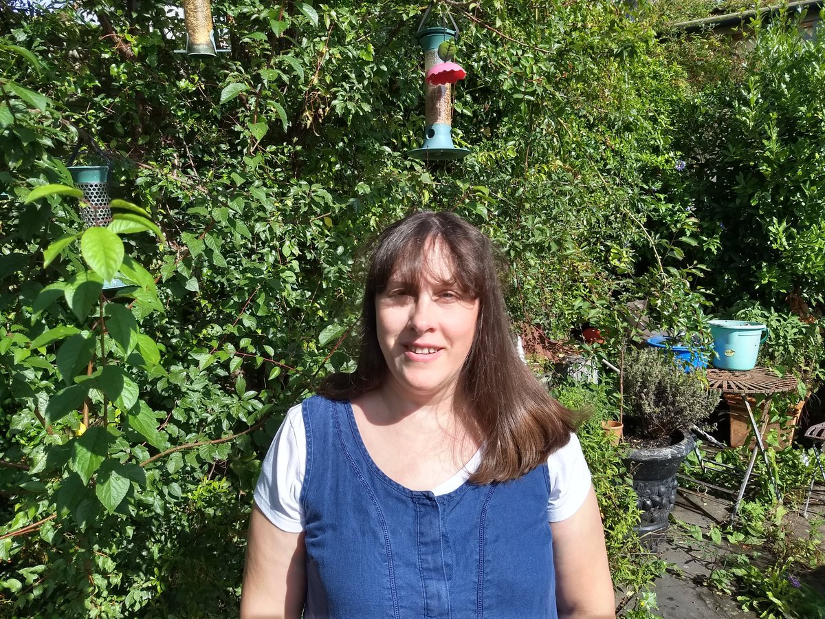 In my back garden (wilderness)