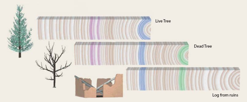 online handbook of intellectual styles preferences in