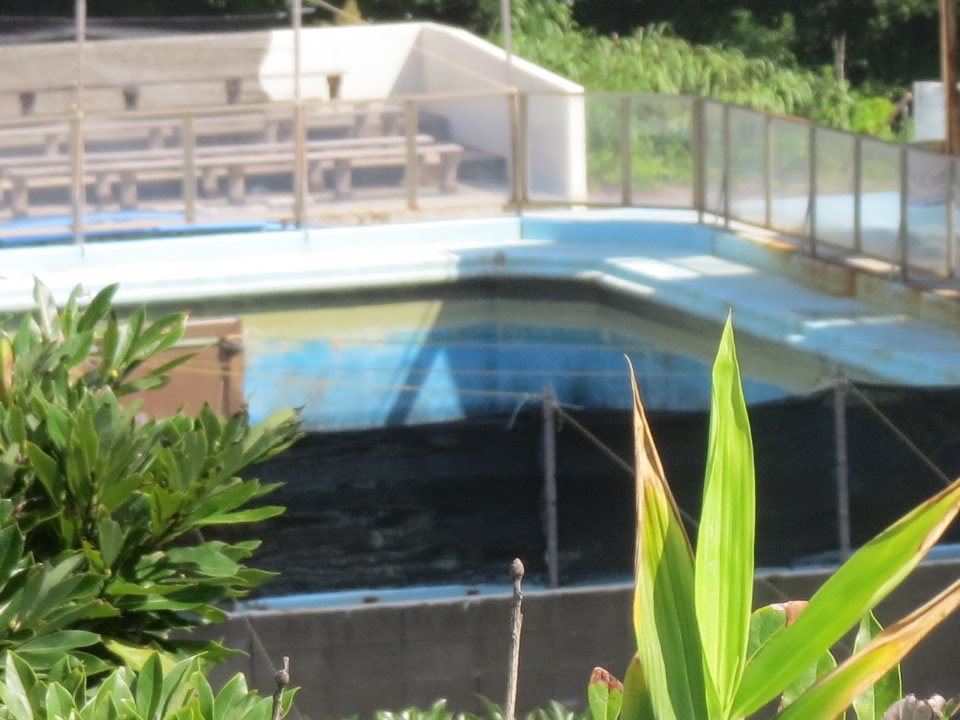 犬吠埼マリンパーク