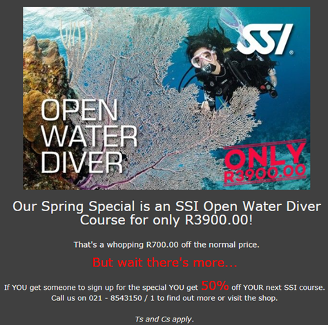 Alpha Dive Centre tweet media