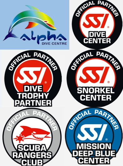 Alpha Dive Centre tweet media
