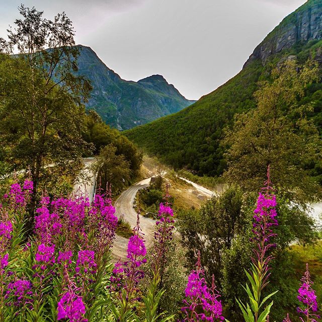 Briksdalsbre's tweet photo. På veg til breen 🤗☀️🌤🤗
#nofilter #norway #dreamchasersnorway #visitnorway #loves_norway #olden #natur #nature #naturephotography #naturelovers #landscapephotography #landscapelovers #landscape #yrbilder #storm #2vær #norway2day #loves_united_norway #… https://t.co/4iLTUXXFJf https://t.co/KdXU1vexX4