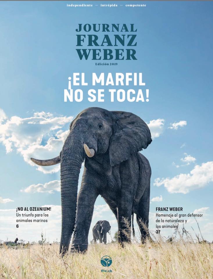 ZOOXXIproject's tweet photo. YA TENEMOS LA REVISTA DE LA @ffw_ch EN CASTELLANO

En este número trimestral encontraréis información sobre múltiples campañas impulsadas por la FFW, entre las que destacan  las victorias de ZOOXXI y de NOzeanium. Podéis descargárosla online aquí 👉
https://t.co/pYZUp35MHt https://t.co/t05NgASLkU