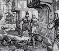 Henry Rolfe tweet media