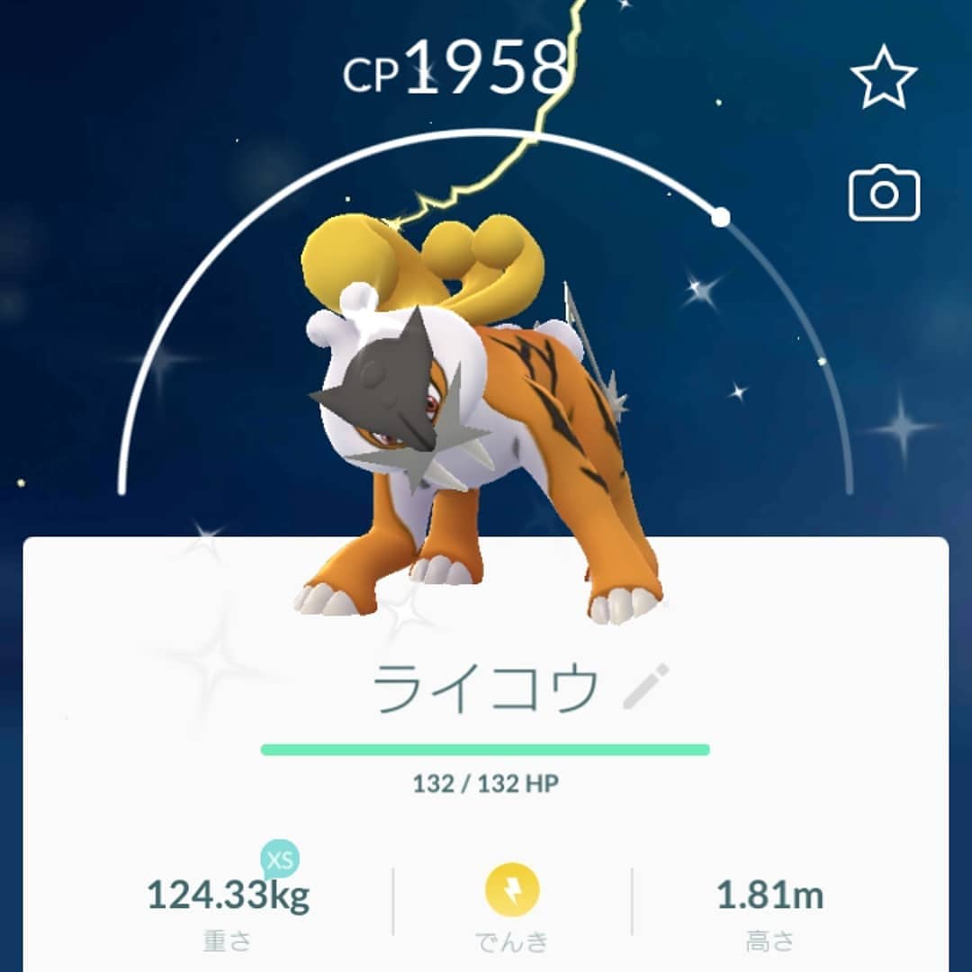 電気 ポケモン 犬 最高のイラストと図面