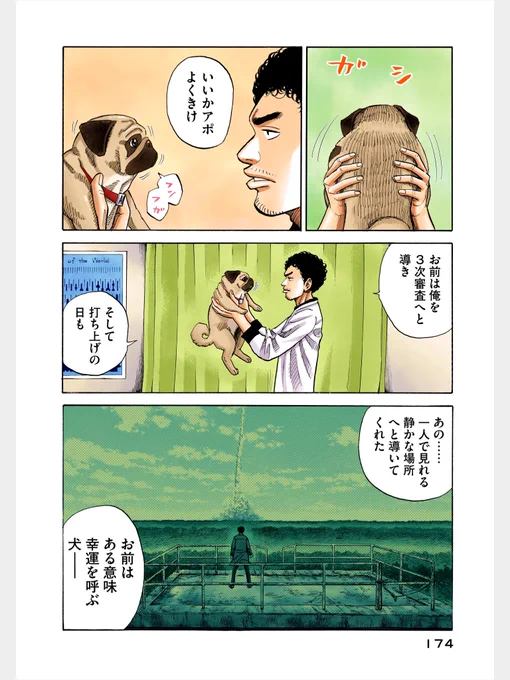 わかってる情けねぇのはわかってる最後の手段が犬頼みとは(詠み手:南波六太)#宇宙兄弟川柳今回は #宇宙兄弟短歌 でした 